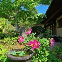 画像1481