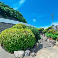 画像1556