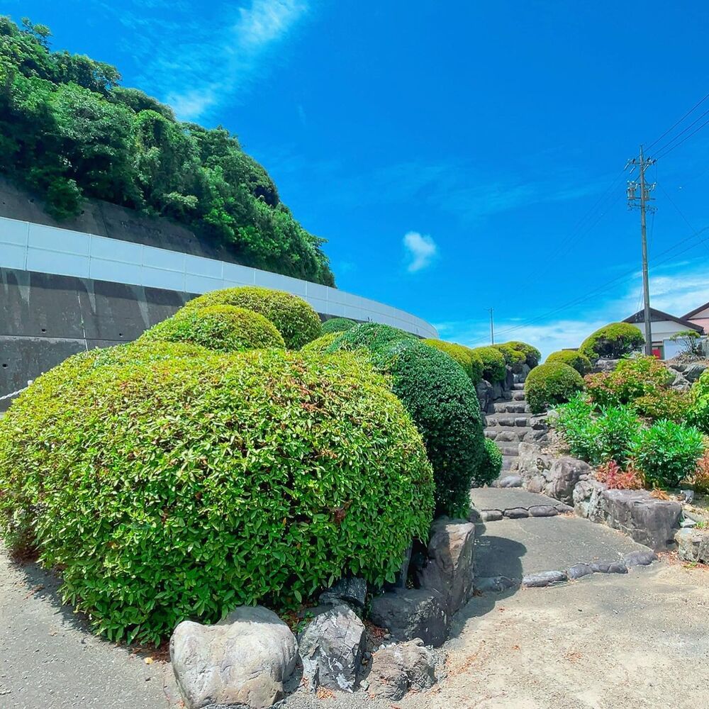 画像1556