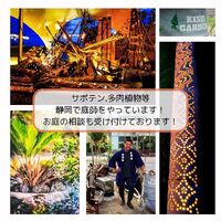 画像1561