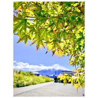 画像1609