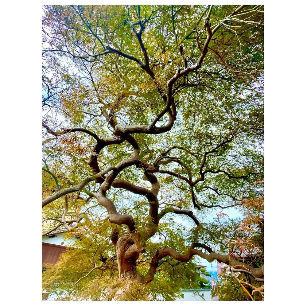画像1610