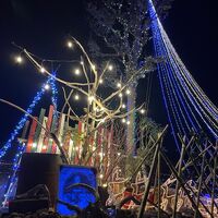 画像1654