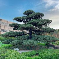 画像1704