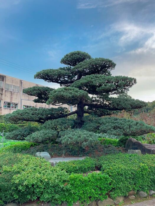 画像1704