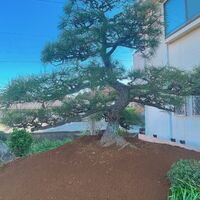画像1714