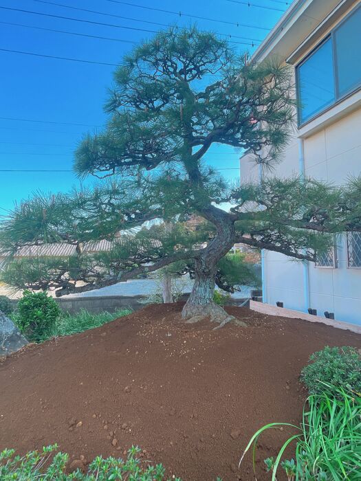 画像1714
