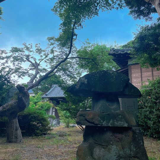 画像1842