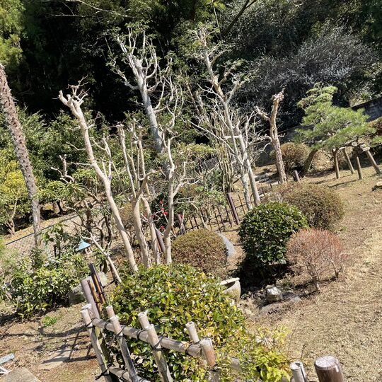 画像1943