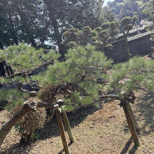 画像1945